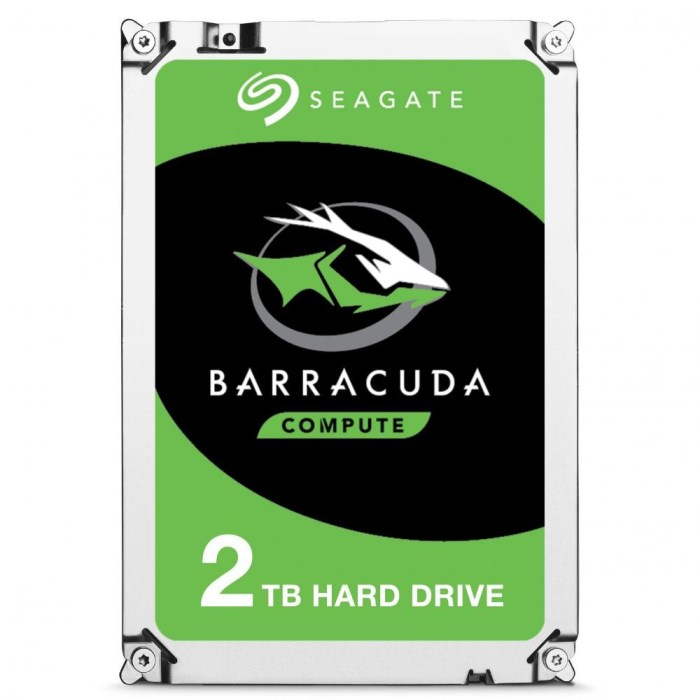 Hard Disk Seagate Barracuda 2 TB 3.5" | Offerta