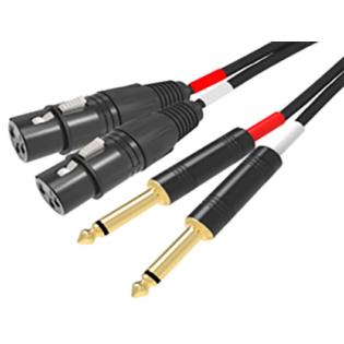 Cavo Audio Ridem 2x XLR F / 2x 6.3mm 3m | Professionale