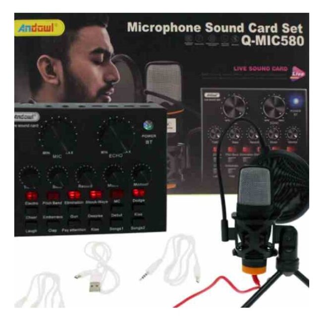 Microfono Andowl Q-Mic580 Professionale con Schede Audio