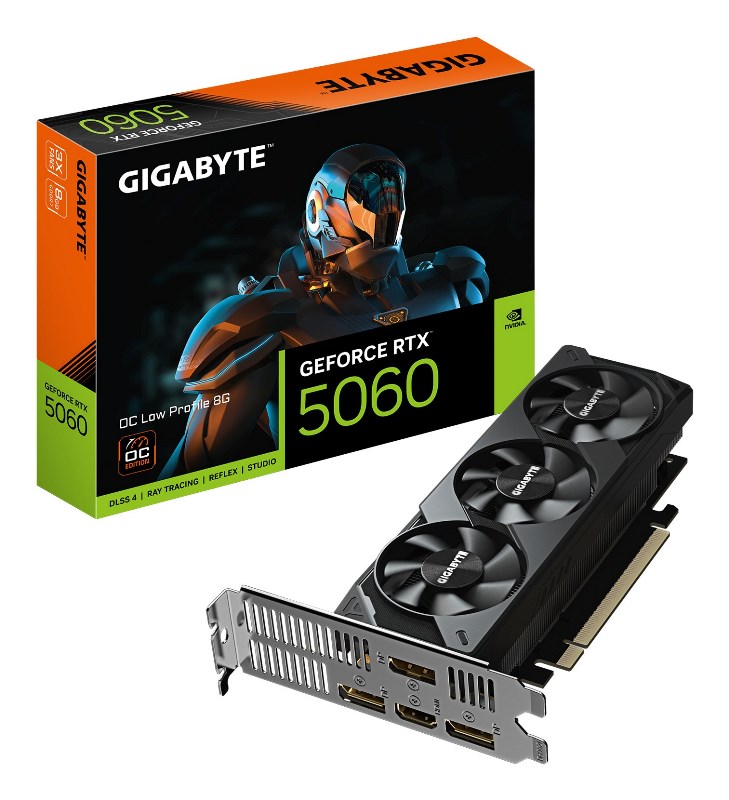 Geforce RTX 5060 Low Profile: Scheda Video Offerta | Omnicenter