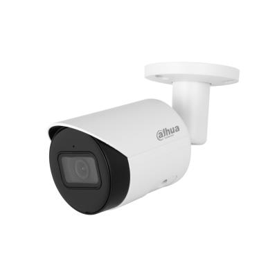 Telecamera Sorveglianza Dahua 2MP PoE | Modello Professionale