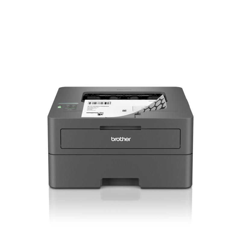 Stampante Brother HL-L2445DW Professionale Wi-Fi