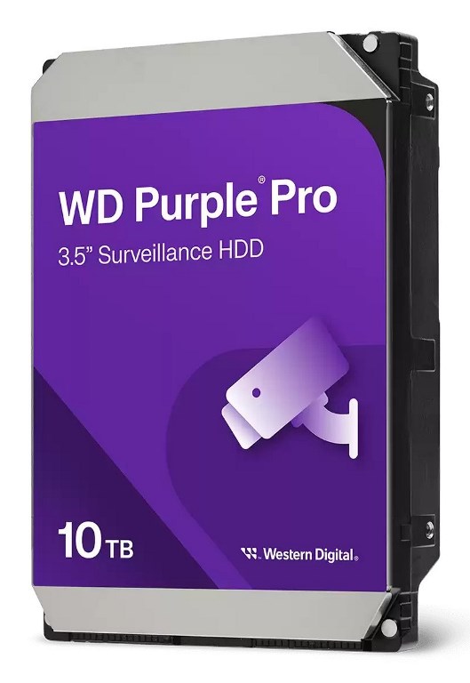 Hard Disk Western Digital Purple 10 TB: Professionale