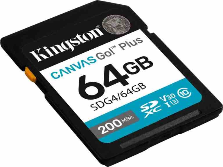 Kingston SD 64GB Canvas Go Plus | Offerta Omnicenter